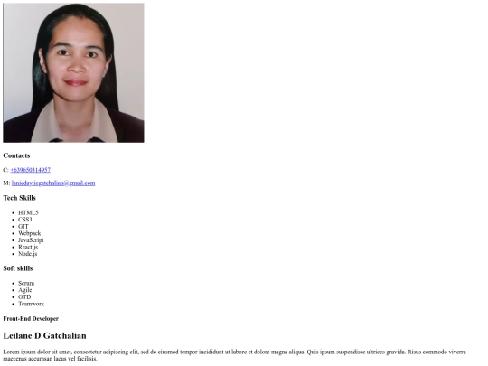 Resume project screenshot