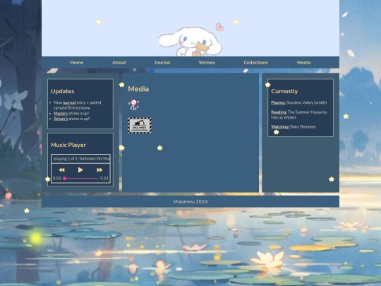 media screenshot