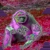 milfjerma.neocities.org avatar