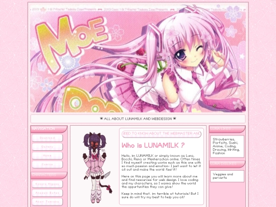 webmaster/webmaster screenshot