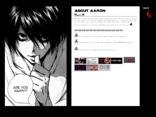 aboutaaron screenshot