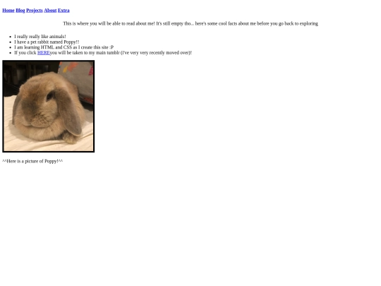 radiomold.about.page screenshot