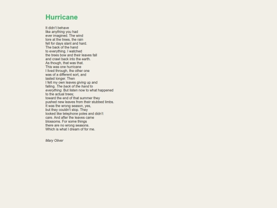 hurricane screenshot