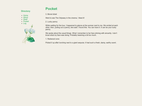 pocket screenshot