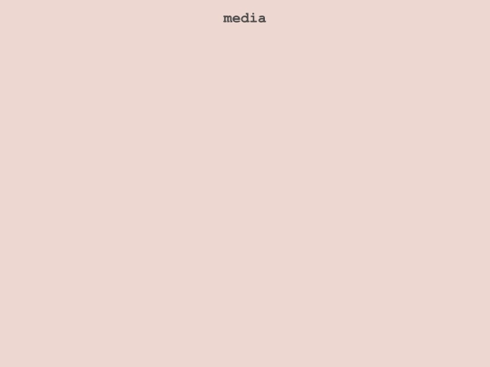 media screenshot