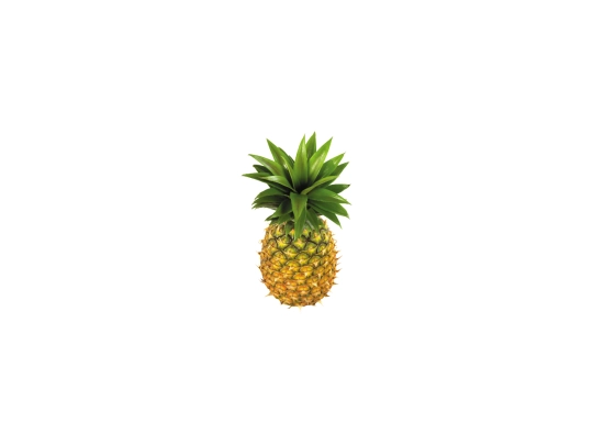PineappleBonkSimulator screenshot