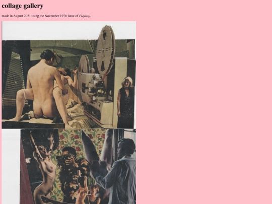 collage documentation screenshot