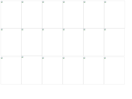 556 screenshot