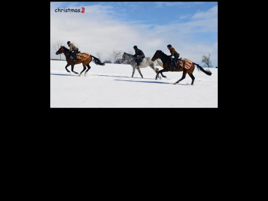 HAPPYCHRISTMAS/guirhigsbgiouerhgireshgbrse screenshot
