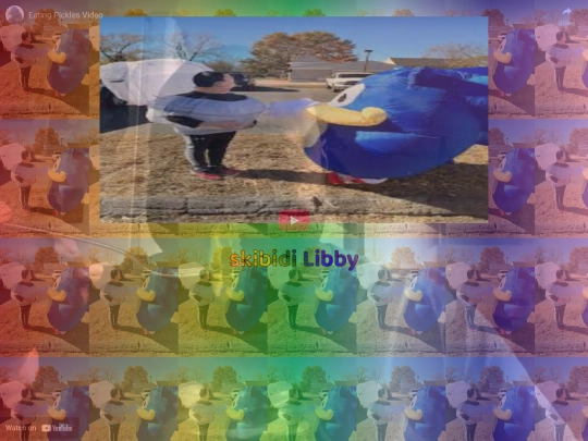 Libby screenshot