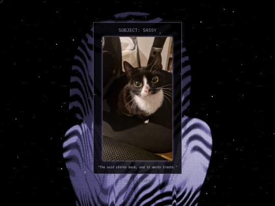 sassy screenshot