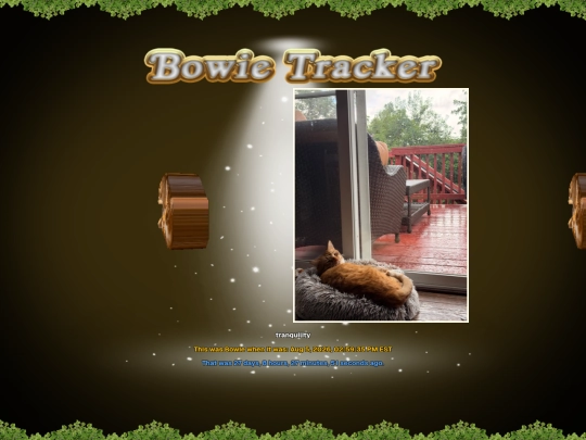 bowietracker screenshot