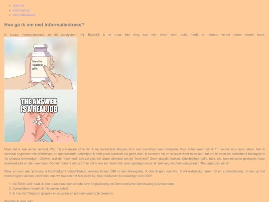 Informatiestress screenshot