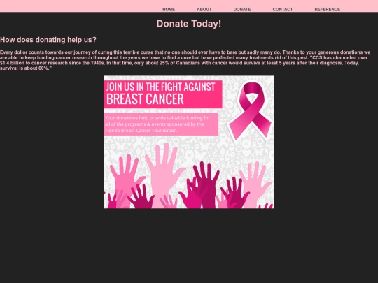project/donate screenshot