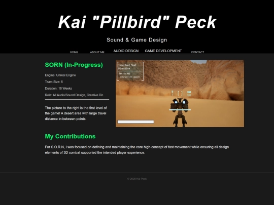 Portfolio/SORN screenshot