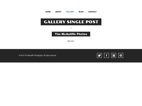 gallery-single-post screenshot