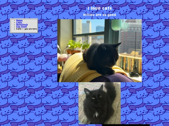 cats screenshot