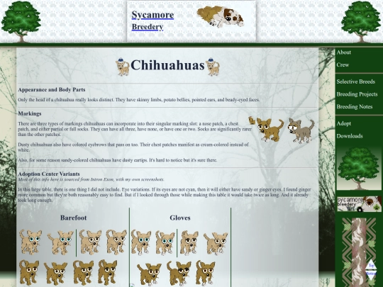 sycamore/notes/chihuahuas screenshot