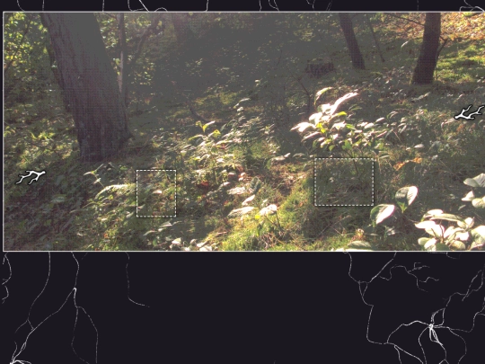 yourbody/forest3 screenshot