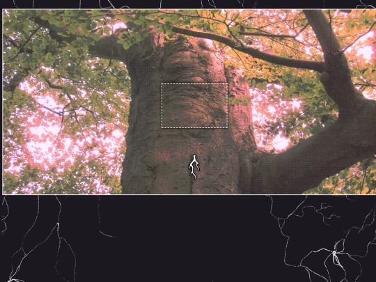 yourbody/mothertree/crown screenshot
