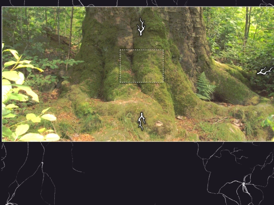 yourbody/mothertree/roots screenshot