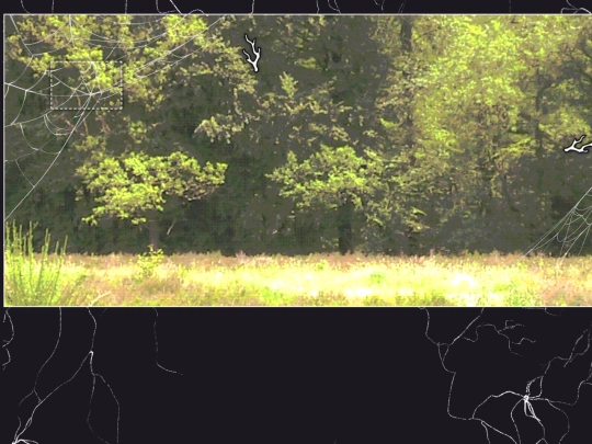 yourbody/woodwideweb screenshot