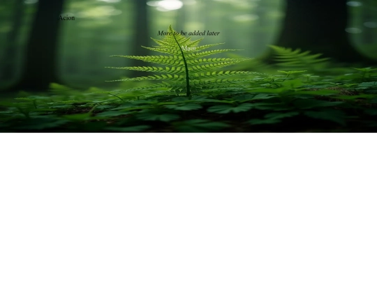 Acion screenshot