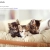 The web site of luanarc avatar