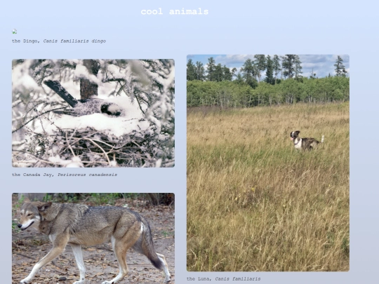 thezoo screenshot