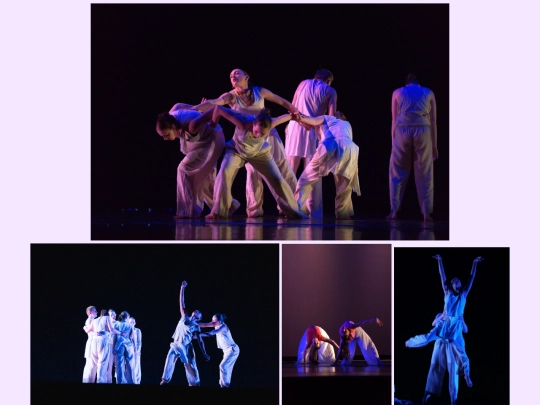 dance/dancephotos screenshot