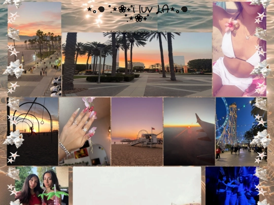 moodboards/LA screenshot