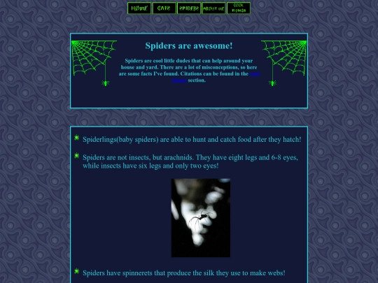spider screenshot