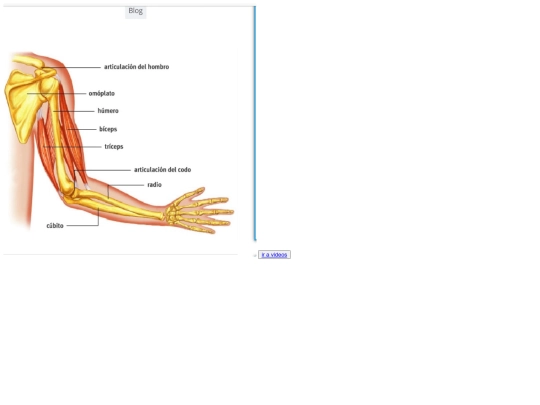 cuerpo humano/brazo screenshot