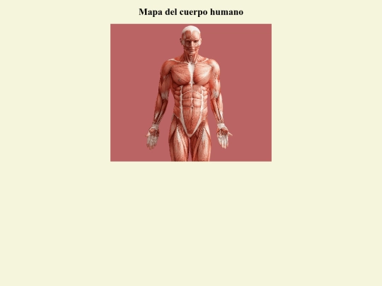 cuerpo humano/cuerpo humano screenshot
