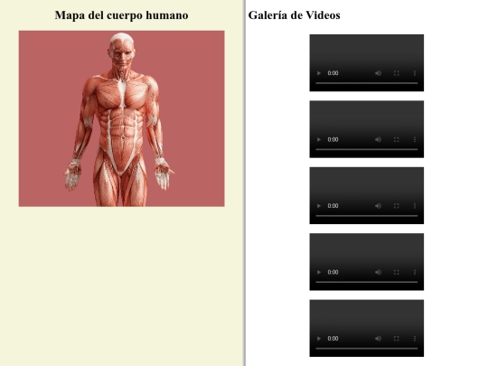 cuerpo humano screenshot