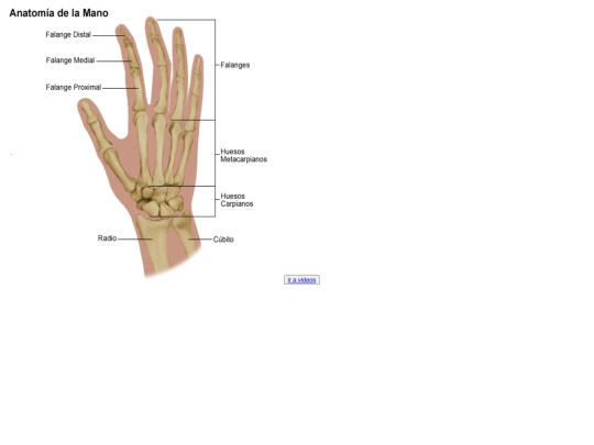 cuerpo humano/mano screenshot