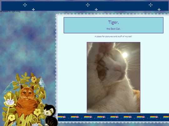 Friends and Family/Tiger/Tiger screenshot