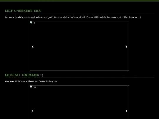 BLOGZ/Stuff I like/backpacktribute screenshot