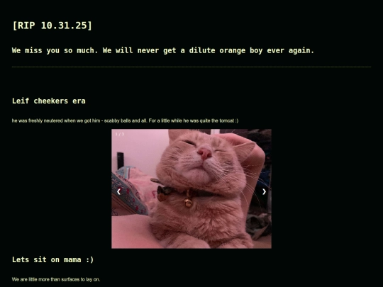 BLOGZ/Stuff I like/leiftribute screenshot
