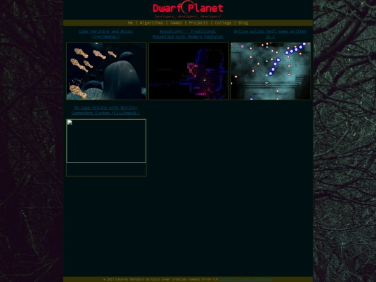 projects screenshot