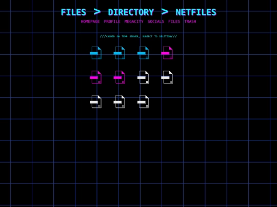 netfiles screenshot