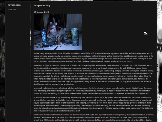 posts/larpmaxxing screenshot