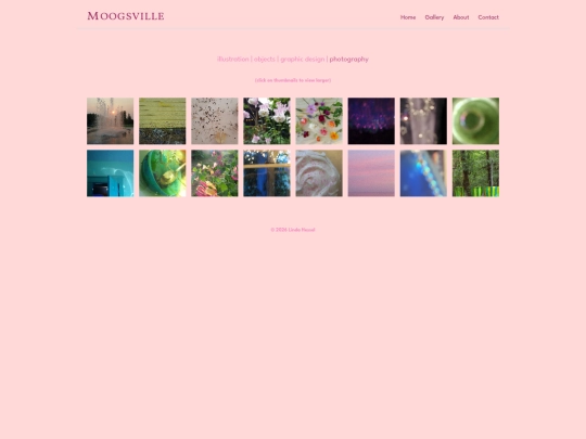 photography screenshot