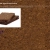 pumpernickelappreciationsociety.neocities.org avatar