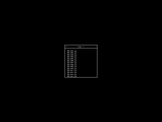 pictures/bugs screenshot