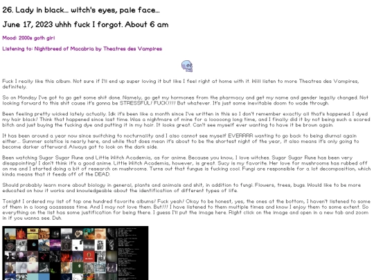 pages/diary26 screenshot