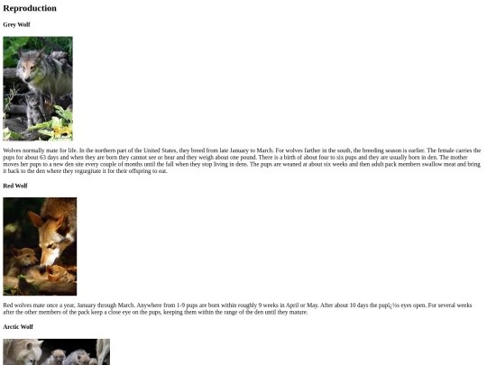 WolfProject/reproduction screenshot