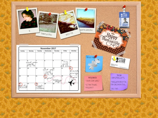 b/thanksgiving screenshot