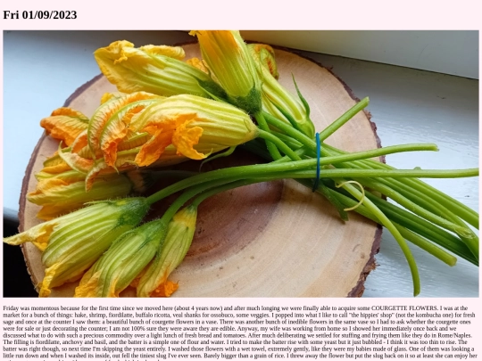 pages/diary/20230901 screenshot