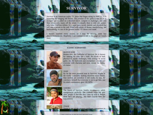 survivor/survivor screenshot